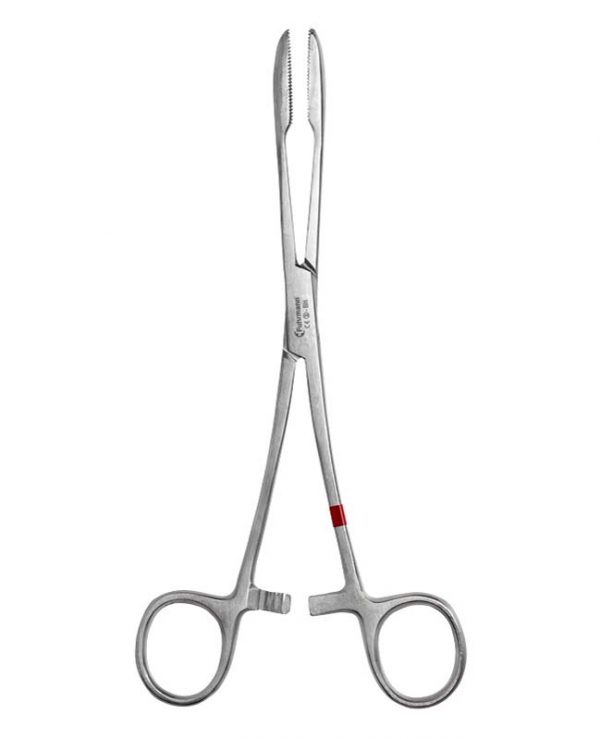 Einmal-Kornzange 20cm gerade, mit Sperre, 20 Stück, aus Metall Einmal-Kornzange 20cm gerade, mit Sperre, 20 Stück, aus Metall