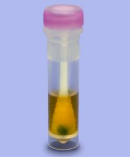 Pyromol-E Test Ø 3,8mm, Länge 2,3m, 6 St. zum qualitativen Nachweis von Protein in Endoskopen Pyromol-E Test Ø 3,8mm, Länge 2,3m, 6 St. zum qualitativen Nachweis von Protein in Endoskopen