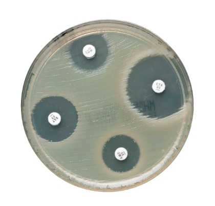 Müller-Hinton Nährboden 10 Platten Müller-Hinton Nährboden 10 Platten